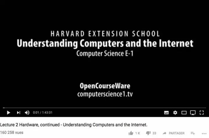 Rivolgersi a YouTube per vedere gratuitamente video relativi alla programmazione è un ottimo modo per integrare il lavoro fatto con l'insegnante, di persona.