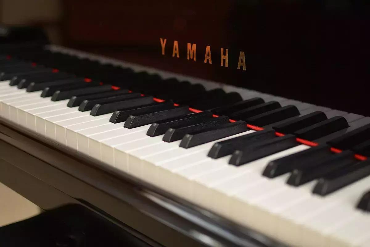 Prima di acquistare un pianoforte devi pensare alle dimensioni della tua casa e il costo di questo investimento in termini di denaro e tempo, senza perdere di vista le spese extra per la manutenzione e gli accessori per pianoforte.