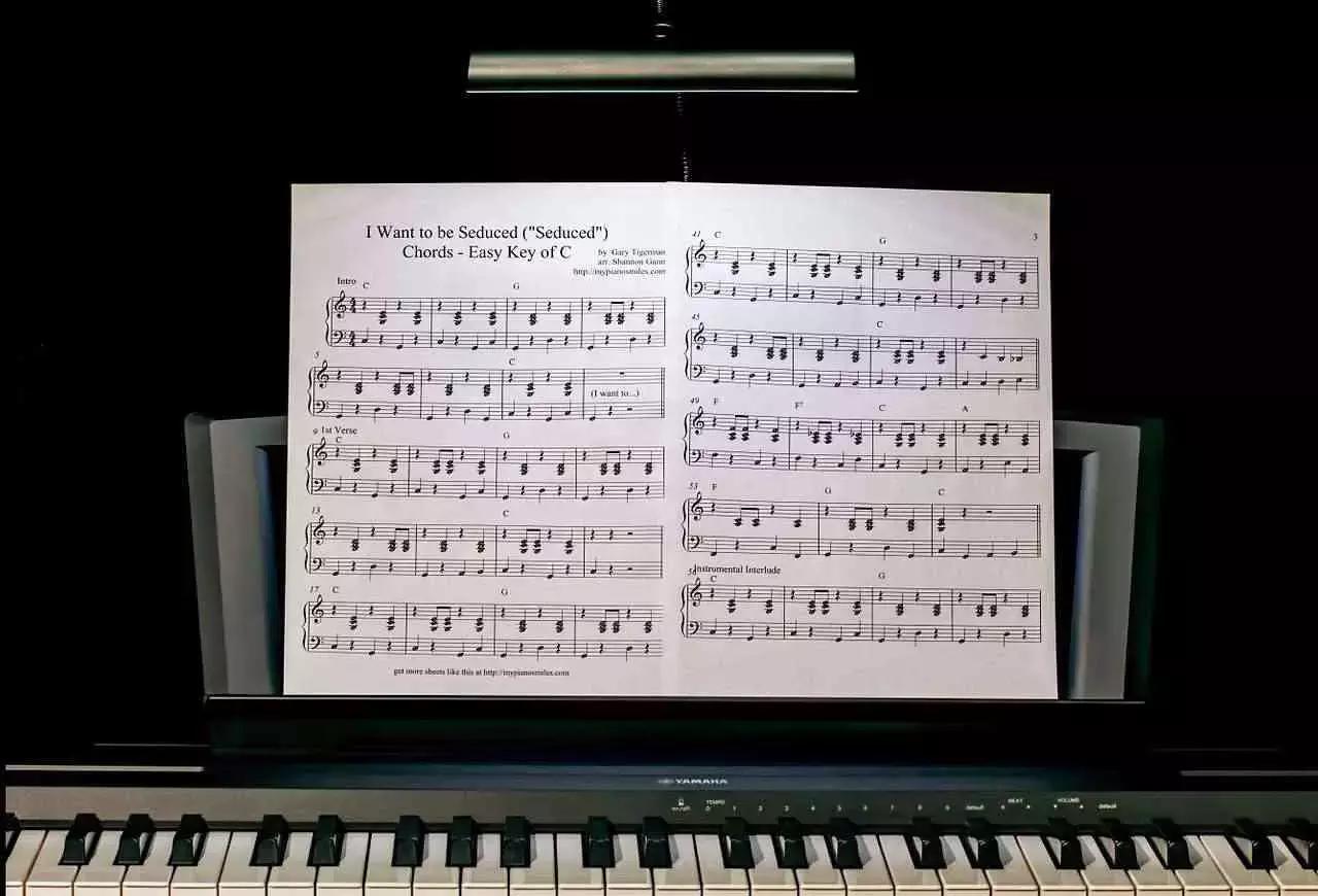 Si tratta dello studio delle note e della teoria della musica. È fondamentale soprattutto per suonare brani classici e per leggere gli spartiti!