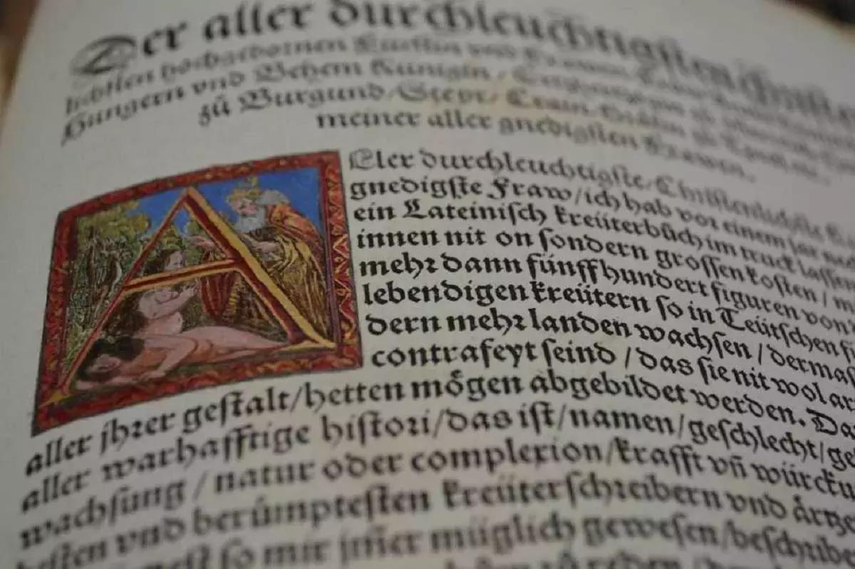 Nessun bisogno di portare caricarsi sulla schiena kg di libri e dizionari, quando tutto entra comodamente nello smartphone.
