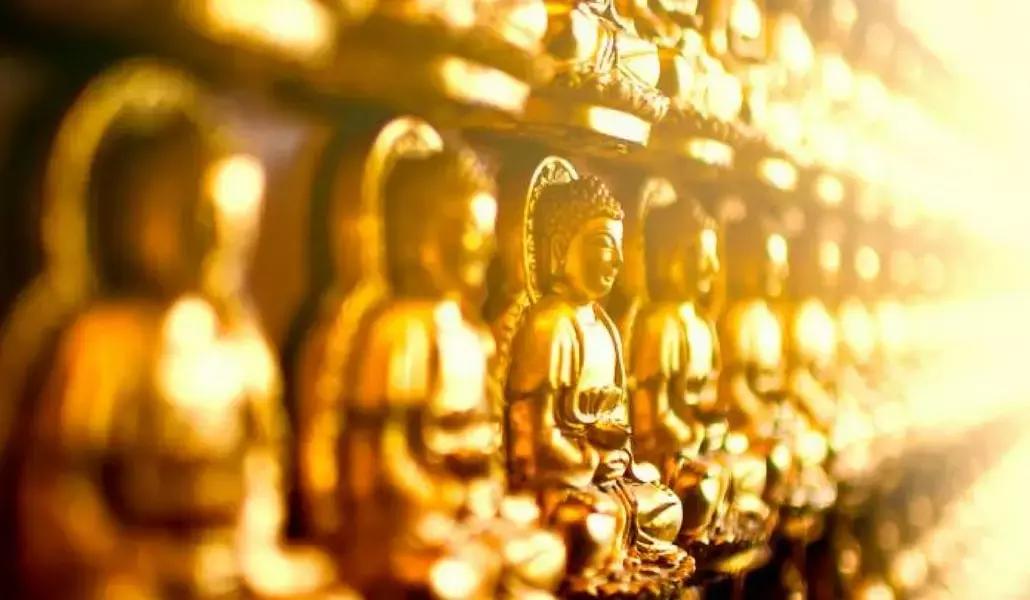 Preparati a scoprire la meditazione consapevole!