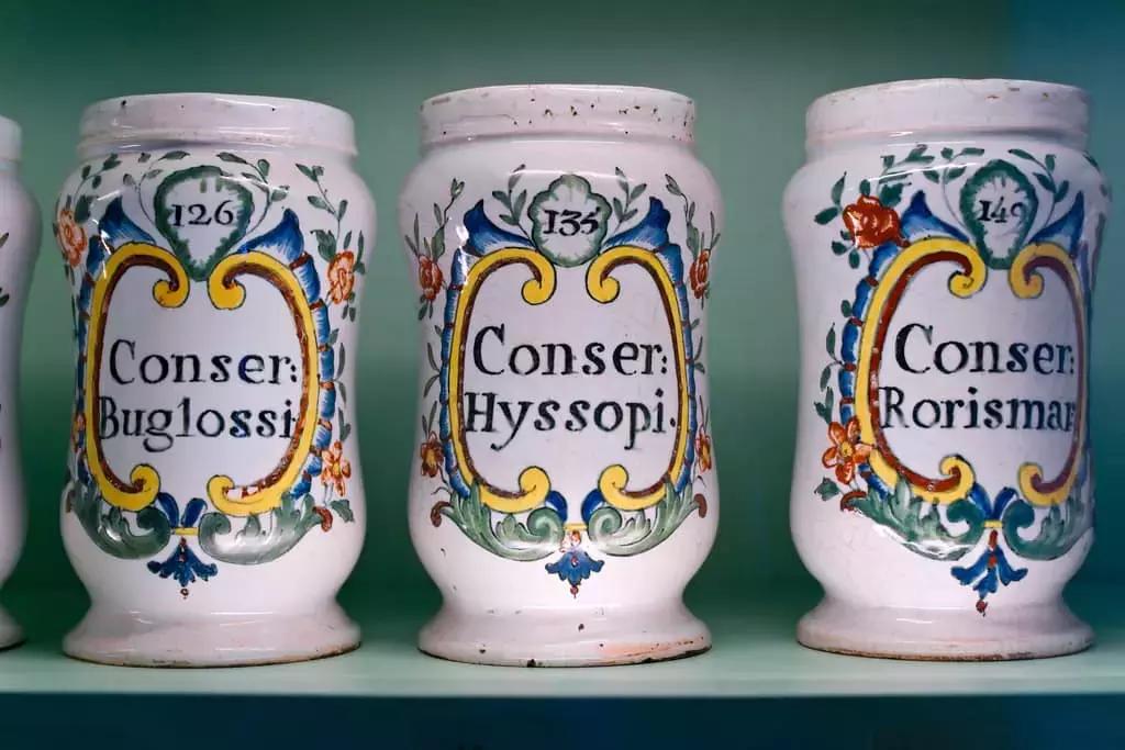 Il latino rimane la lingua della scienza. 