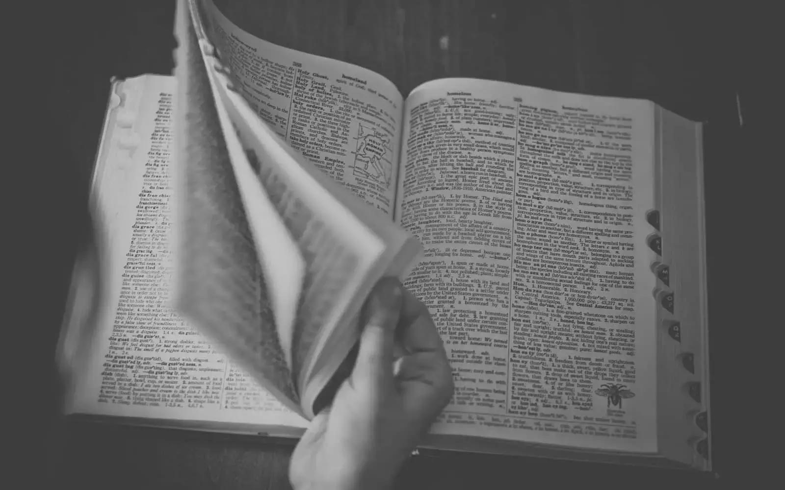 Il dizionario di tedesco include migliaia di parole nuove.