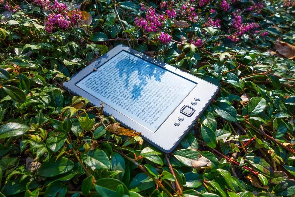 Imparare italiano tramite la lettura di un classico della letteratura: è il metodo migliore per apprendere!