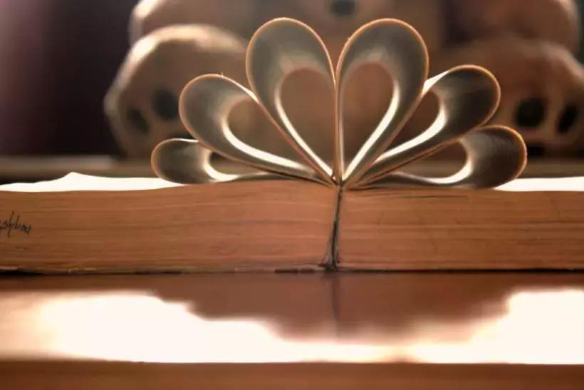 L'avvento della stampa modificò moltissimo ortografia e lessico della lingua italiana. Per essere capiti dalla maggior parte del Paese, i testi dovevano osservare alcune regole.