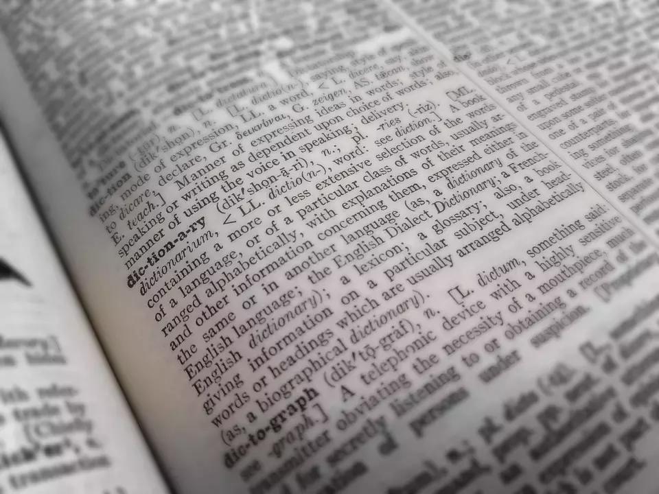 Il dizionario monolingue ci fornisce definizioni nella lingua che studiamo.