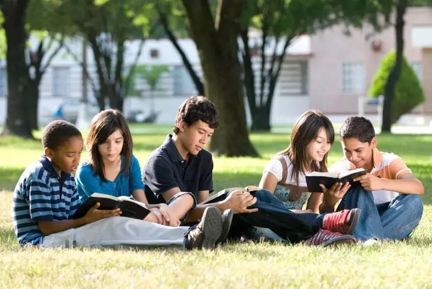 Una scuola di lingua straniera è la migliore per un apprendimento intensivo.