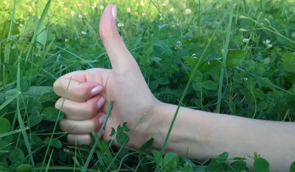 Con i giusti presupposti, puoi diventare un cantante doc!