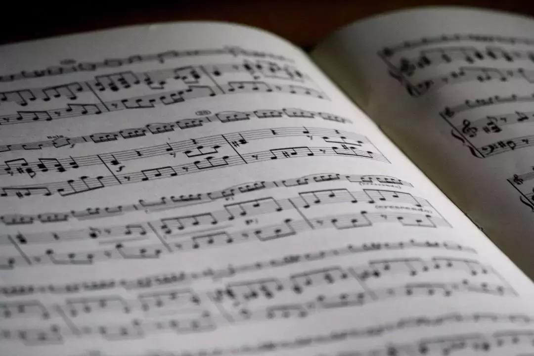 Avere un insegnante di canto diplomato e polistrumentista è una garanzia per l'apprendimento delle tecniche del canto.