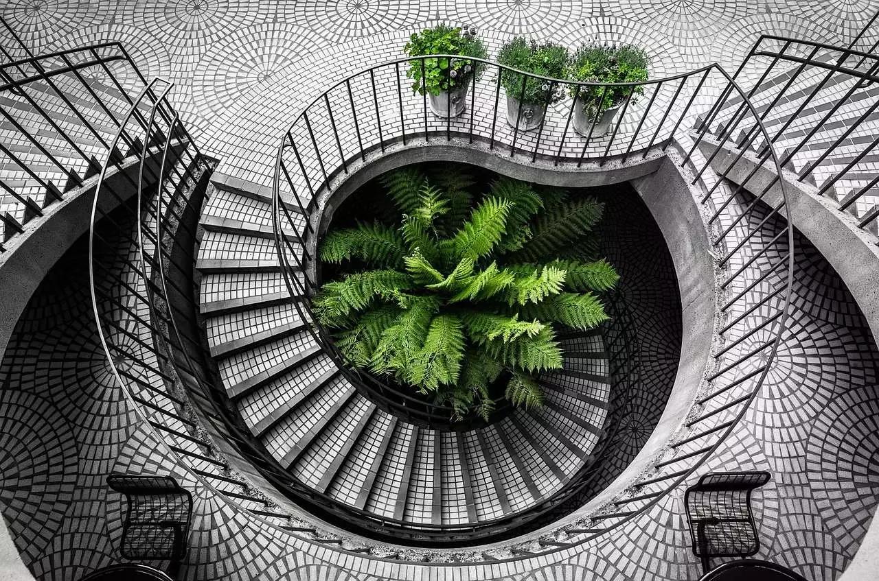 Gli elementi visivi che interessano i fotografi sono: linea, forma, trama, sagoma, colore e motivo