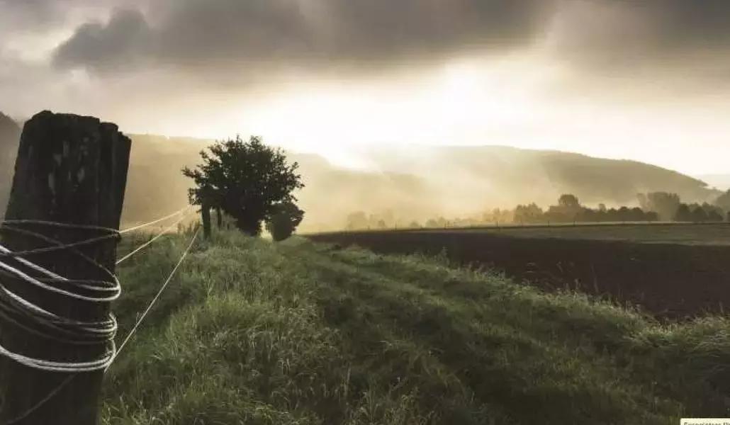 Esercitati a scattare foto in campagna!