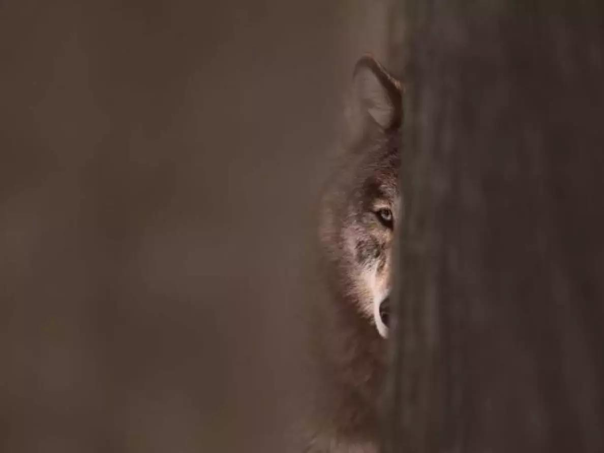 è stato uno dei primi a lanciare una sfida “1 foto al giorno su 1 soggetto”.
