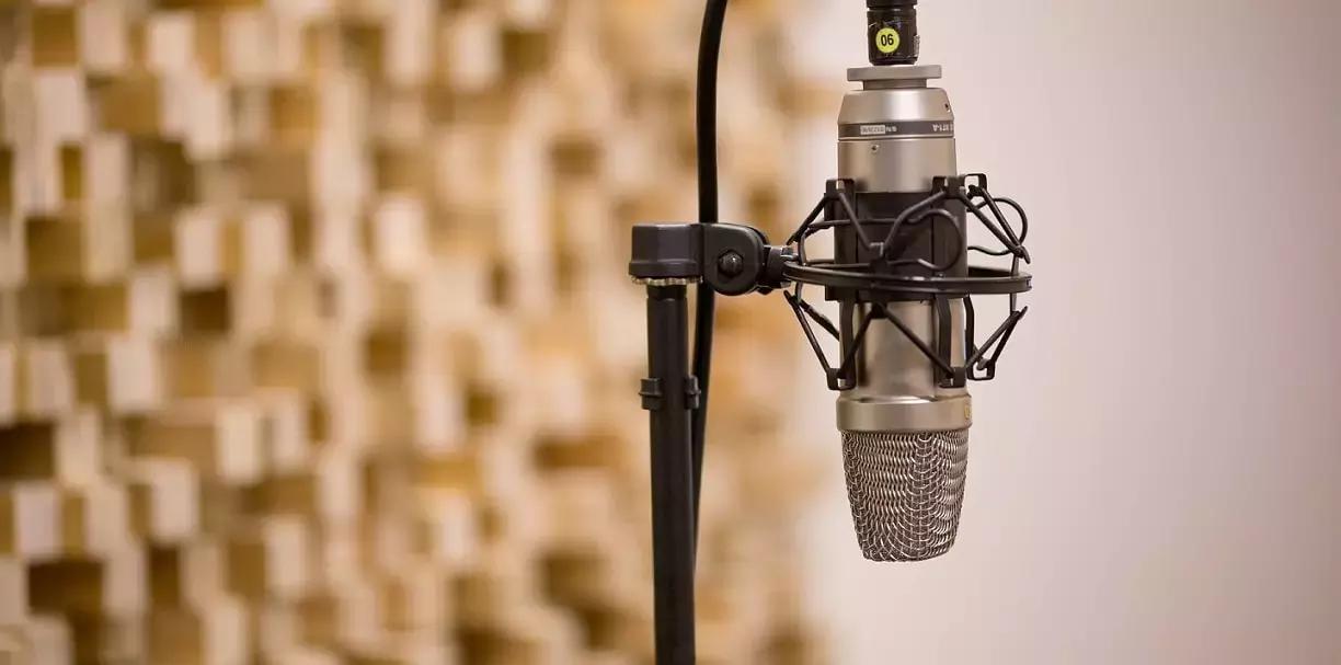 A lezione di canto ti servono di base la tua voce e un microfono.