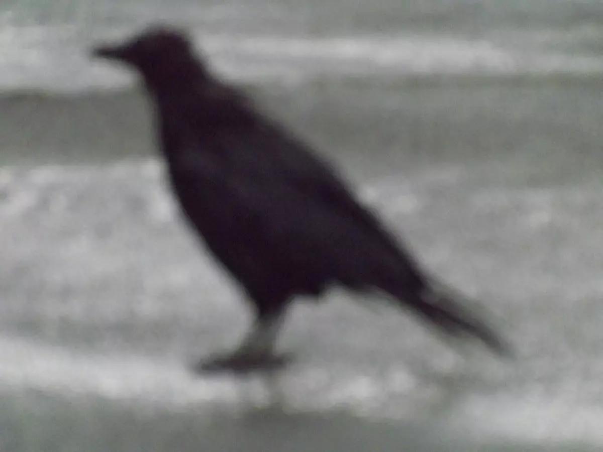 Prendere lezioni di fotografia a Torino migliora le tue passeggiate fotografiche in città!