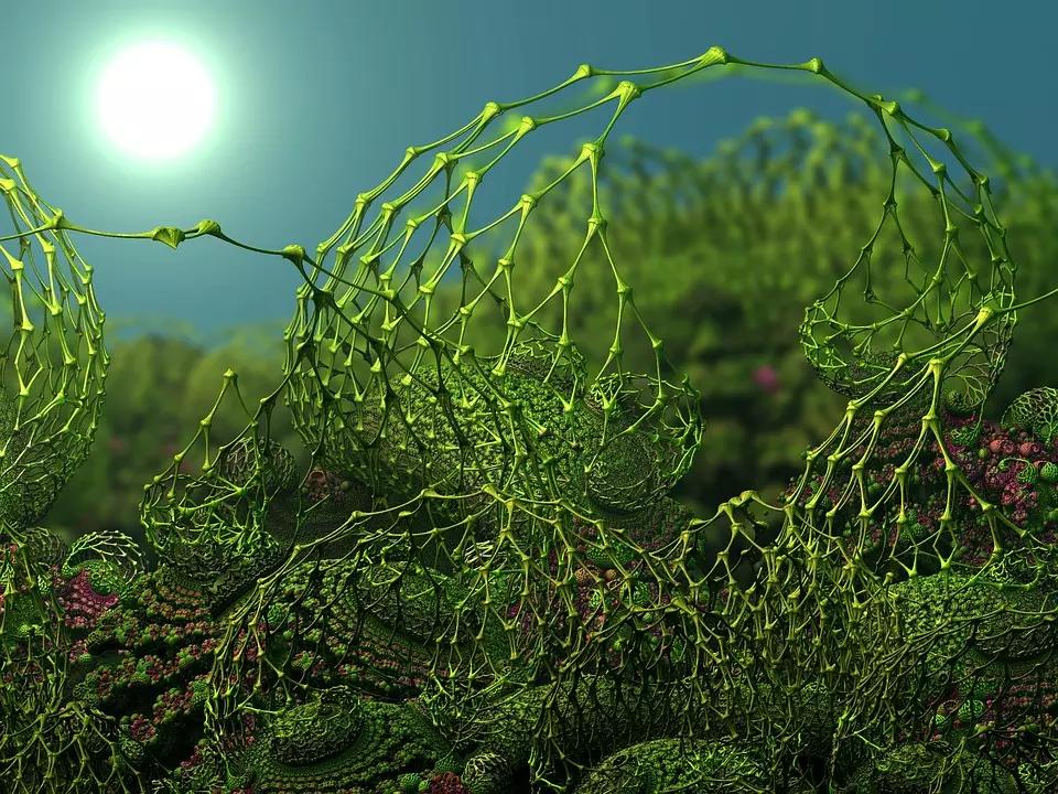 "Una mano quantica attraverso i miei occhi" di Jason Padgett.