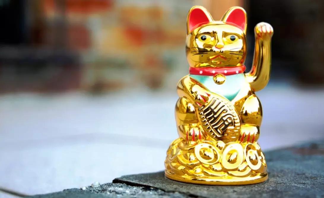 Ci sono anche molti aspetti interessanti nella cultura e nelle credenze popolari: il gatto portafortuna non può che essere l'amuleto per tutti coloro che sognano di diventare insegnanti di cinese, pur senza avere certificazioni specifiche.