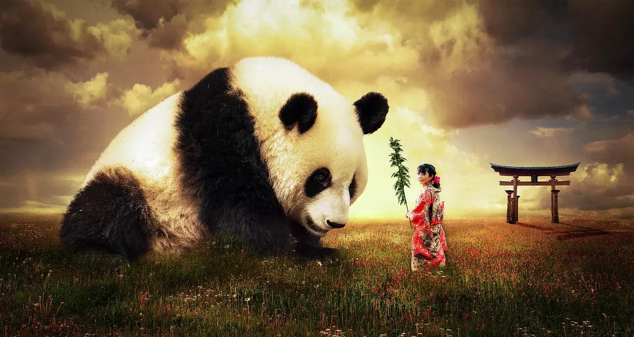 Le differenze tra il mandarino della Cina continentale e Taiwan sono minime.