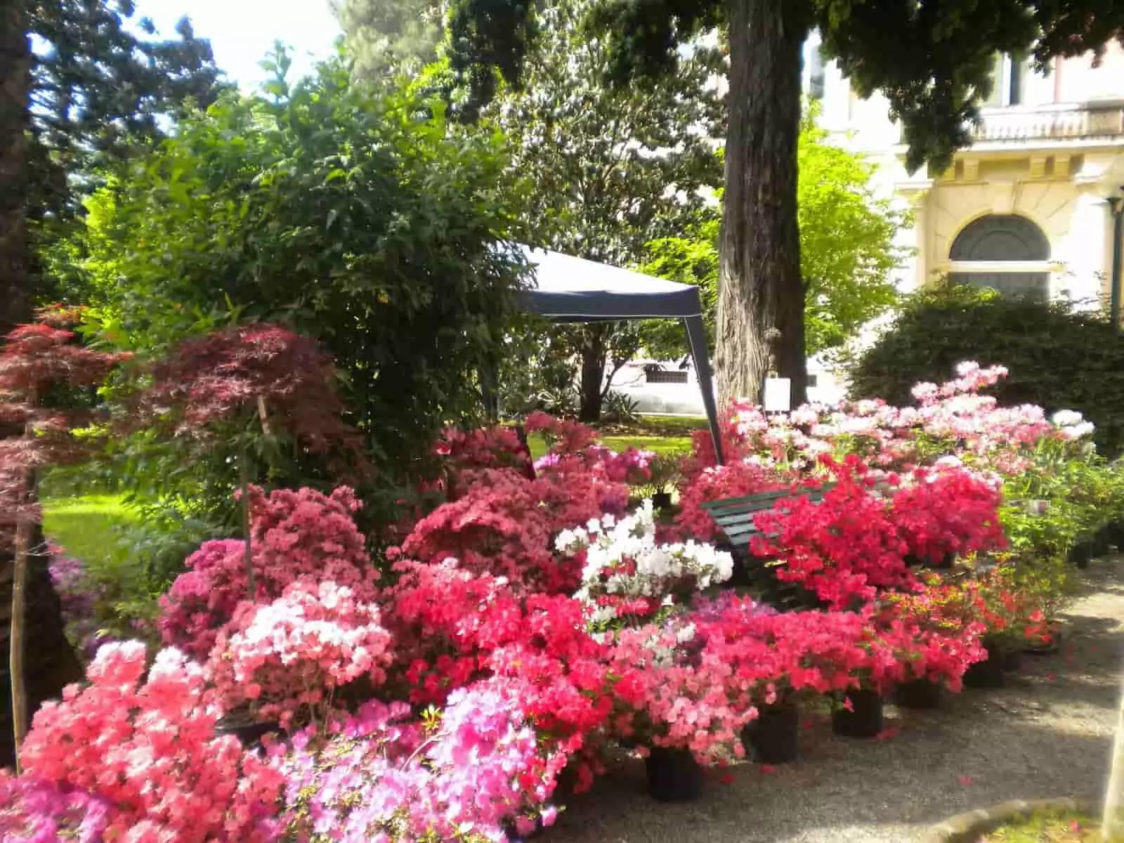 Se prendi un corso di cinese online hai la libertà di studiare dove vuoi.