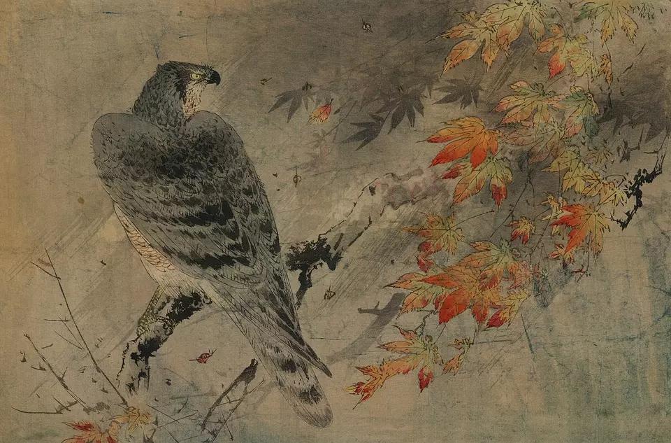 Come trovare rapidamente studenti di giapponese?