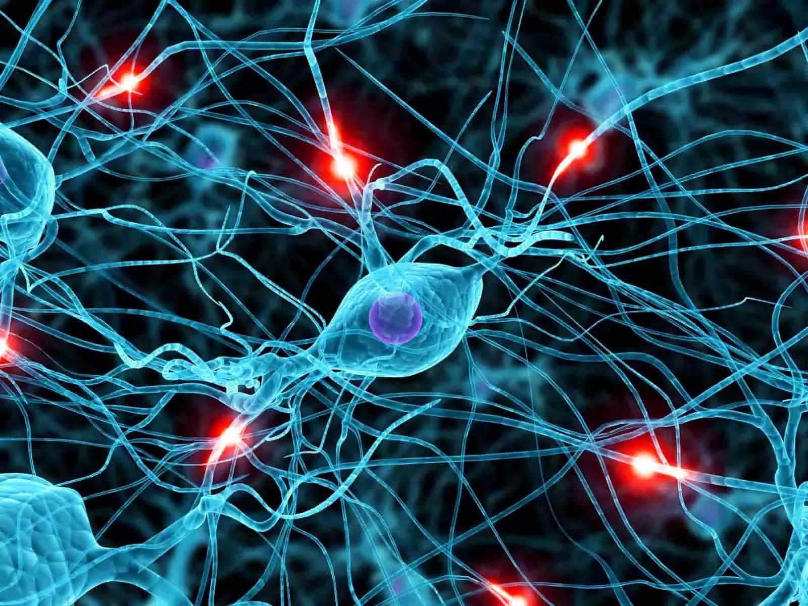 I bambini imparano le lezioni di giapponese più velocemente rispetto agli adulti.