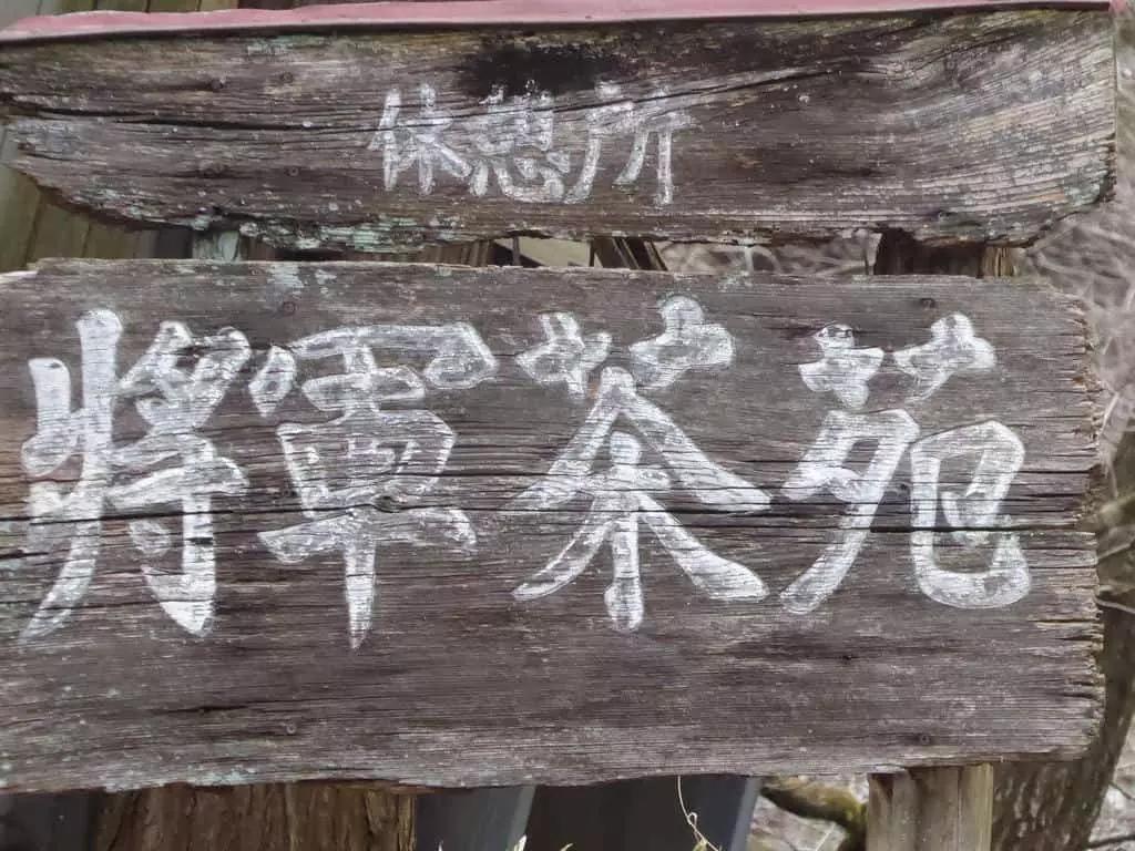 Con un corso di giapponese alle medie potresti imparare da subito le basi della scrittura nipponica.