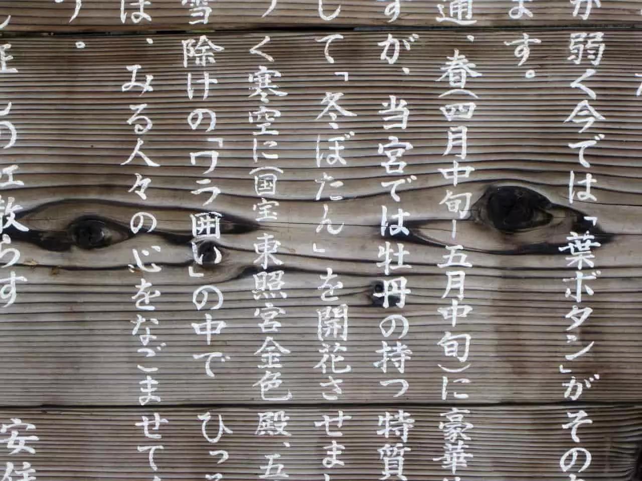 Prima di un viaggio in Giappone è meglio prendere lezioni di lingua per conoscere almeno le basi.