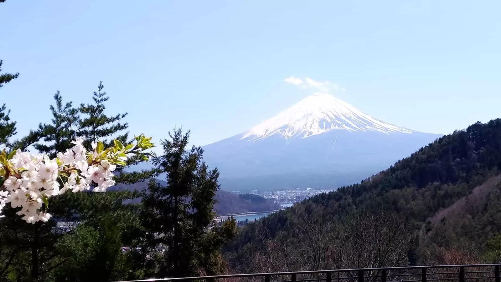 Il Giappone offre molte possibilità di studio e lavoro ma per adattarti devi conoscere la lingua e le formule di cortesia, per questo hai bisogno di un insegnante di giapponese.