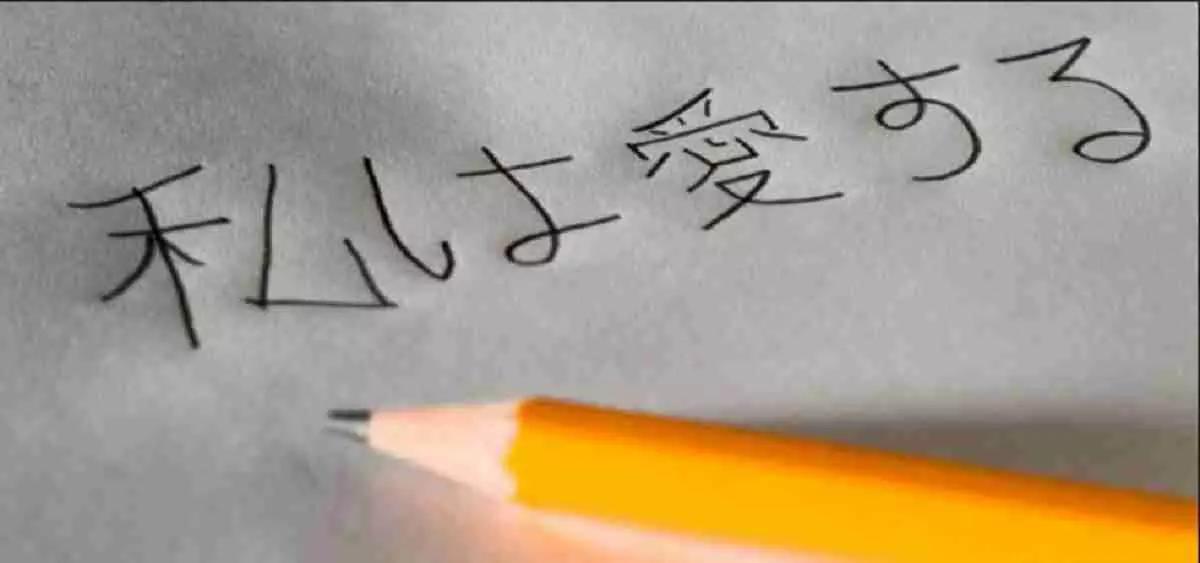Potrà insegnarti le frasi da conoscere per girare tranquillamente per Tokyo e le altre città nipponiche.