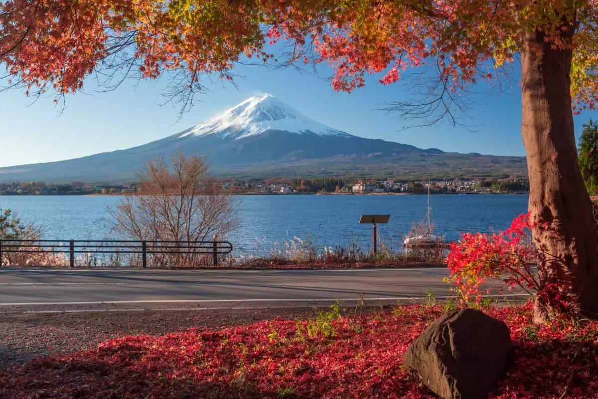 Con un corso di giapponese e un viaggio in loco impari a conoscere il significato mistico del Monte Fuji.