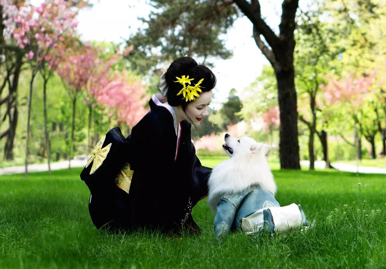 I giardini zen e i parchi giapponesi sono celebri in tutto il mondo.