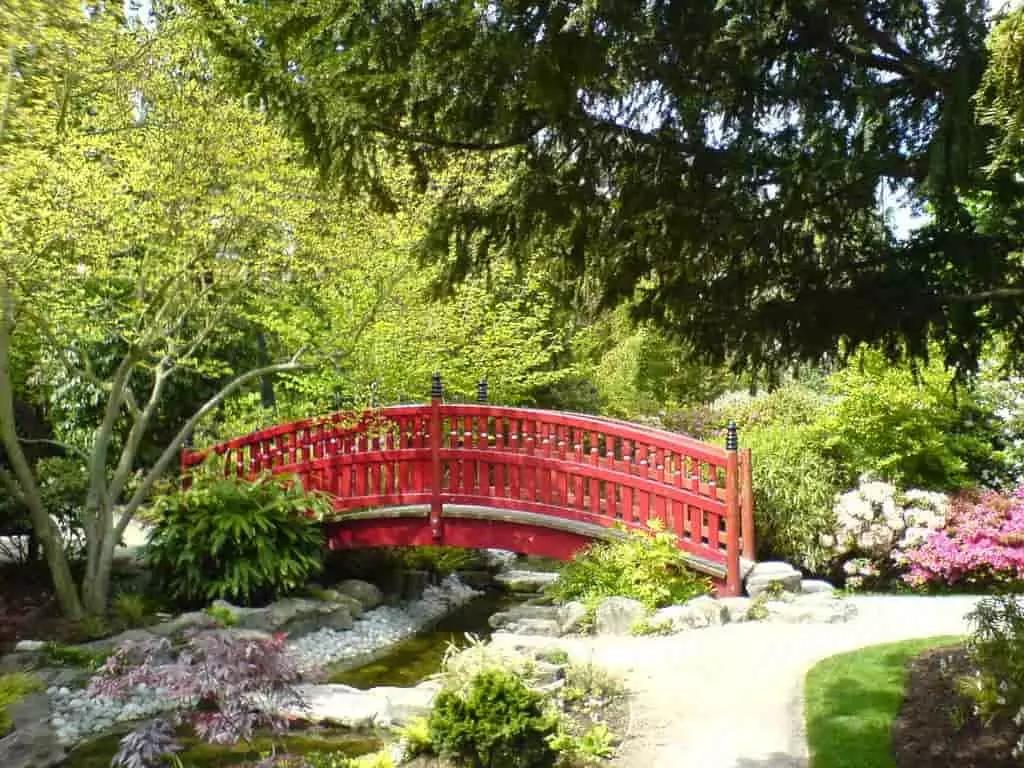 Nel capoluogo siciliano puoi cominciare a imparare il giapponese fin dalle scuole medie.