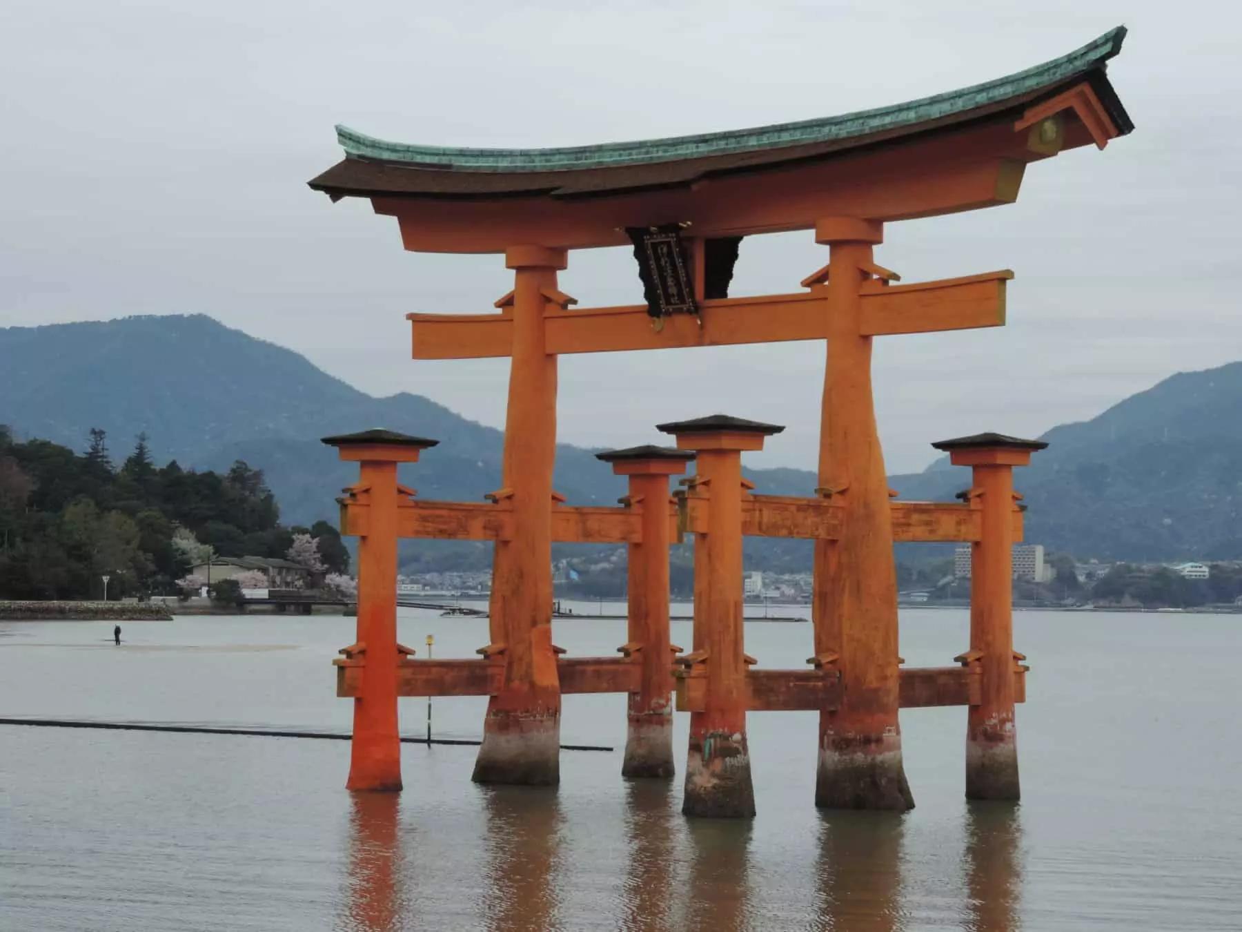 Puoi trovare un corso di giapponese a Napoli all'università, presso scuole di lingua, associazioni ed enti culturali, oppure rivolgerti a un insegnante privato che offre corsi di giapponese a domicilio.