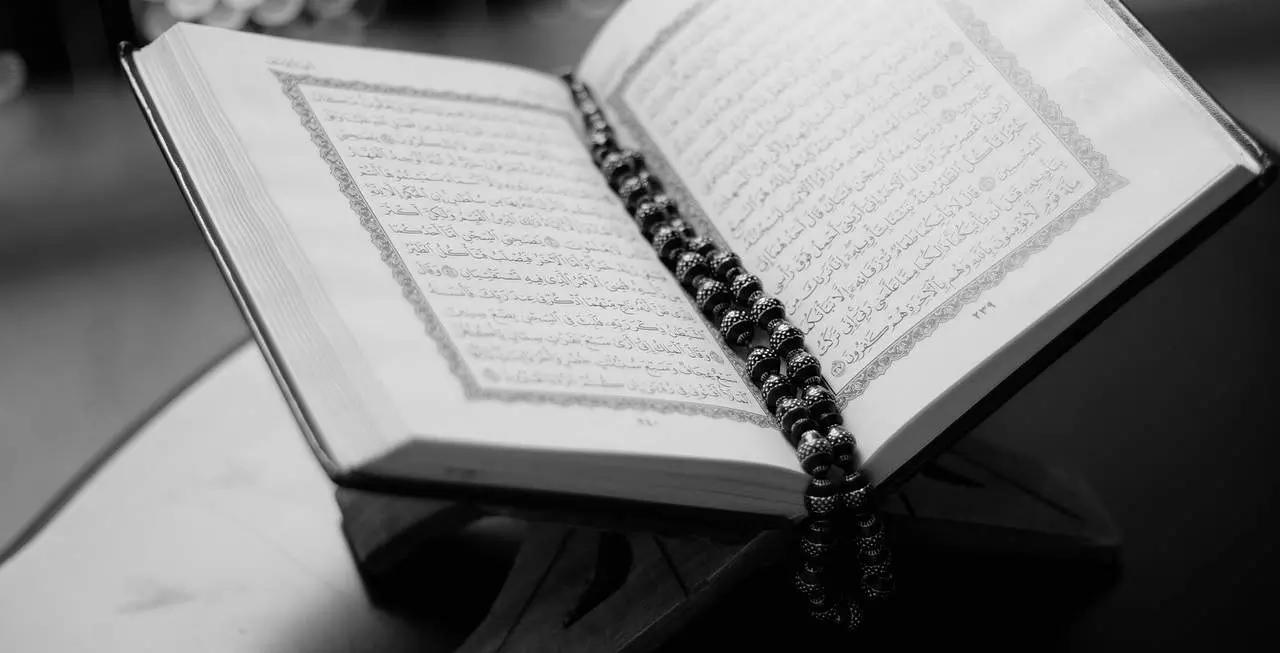 Ecco tutto quello che c'è da sapere per imparare a parlare, leggere e scrivere in arabo!