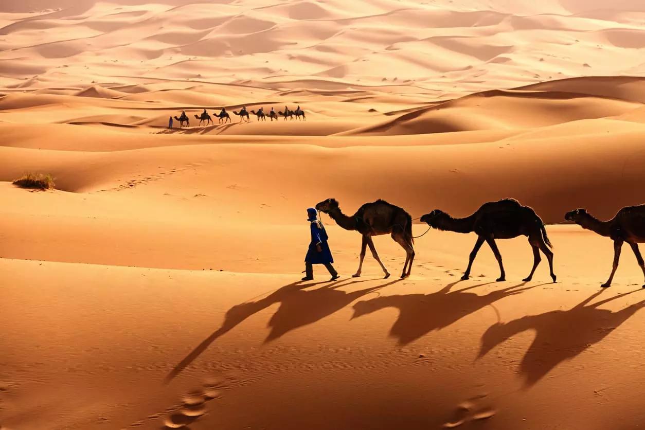 Puoi imparare arabo in molti modi da solo o in compagnia di un insegnante privato, con un corso online, libri, app, giochi educativi e molto altro.