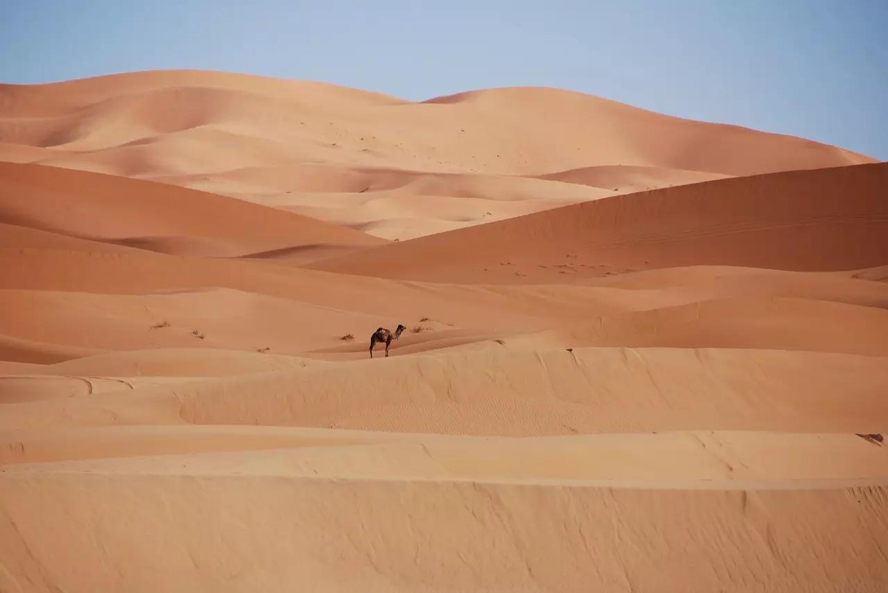 L'arabo è una delle lingue più parlate al mondo