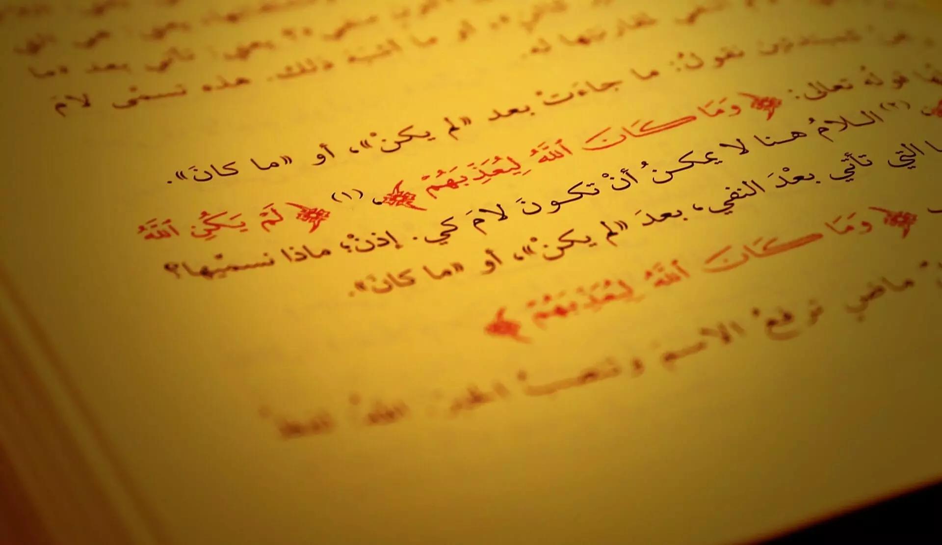 Roma, Milano, Napoli, Torino, Bologna e Palermo ti offrono mille possibilità per seguire corsi di arabo con scuole, enti di formazione, università e associazioni ma solo un insegnante di arabo a domicilio può offrirti l'approccio linguistico e culturale che fa per te.