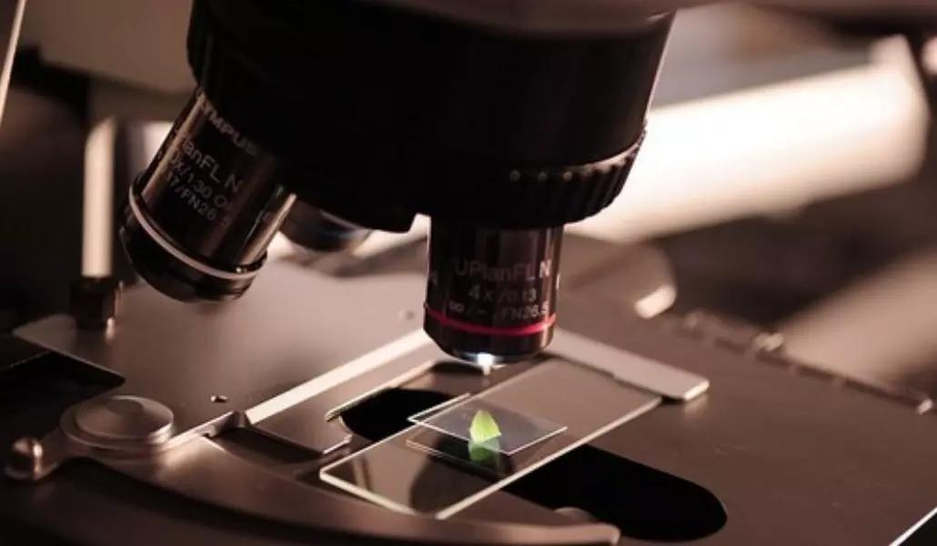 Prova la soluzione delle ripetizioni a casa!