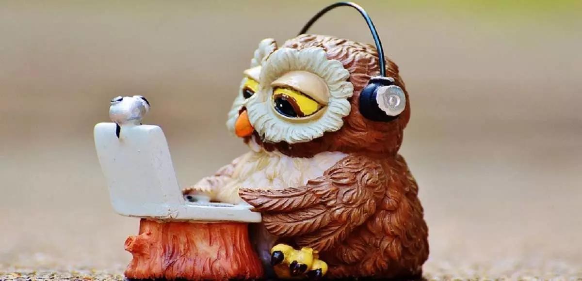 Per riuscire a seguire in maniera profittevole una lezione privata online, dovrai comunque essere anche motivato, in modo da portare a termine il lavoro.