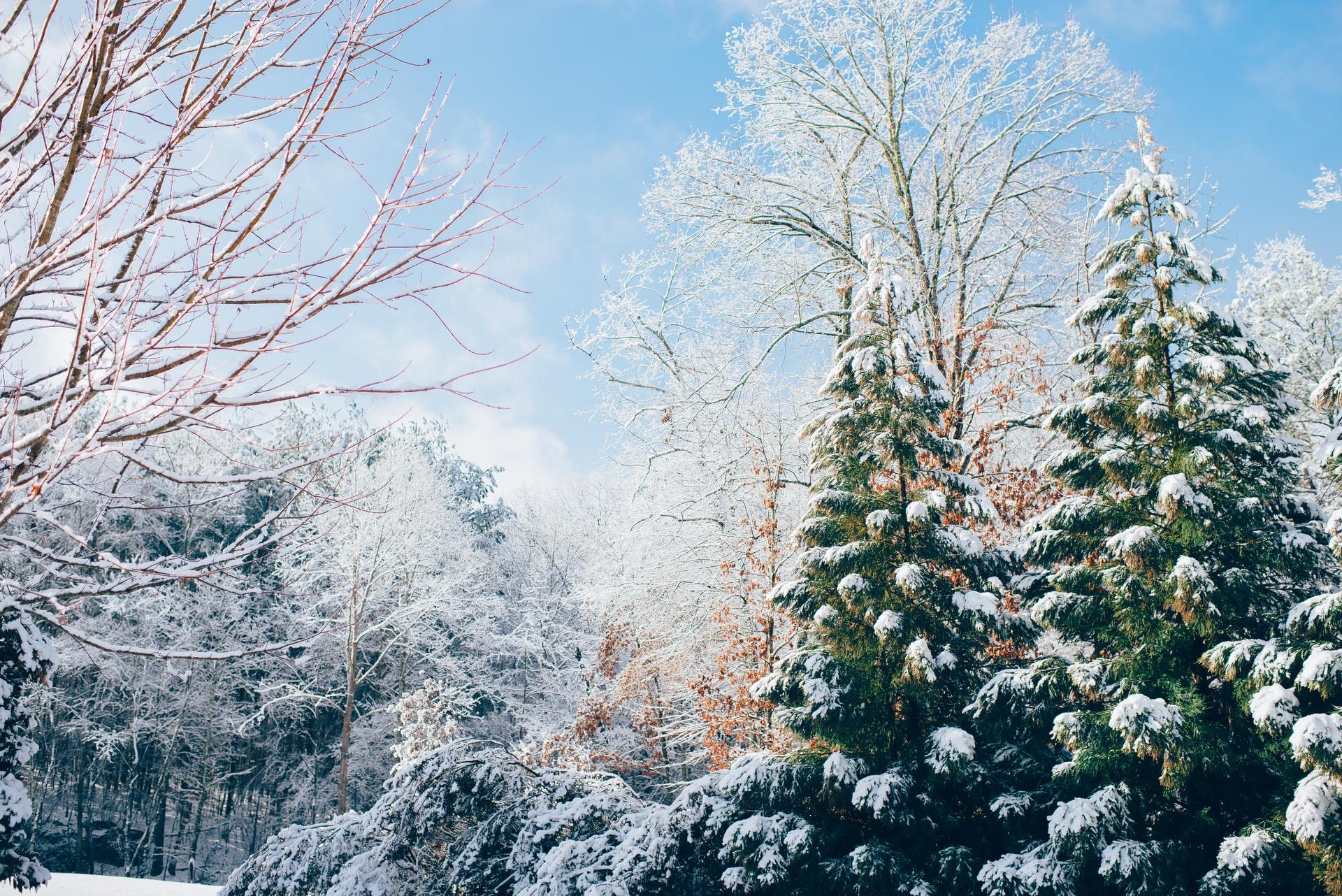 Sai come si dice Natale in inglese?