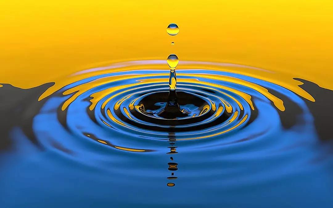 Con un insegnante a domicilio  puoi imparare anche le materie più difficili.