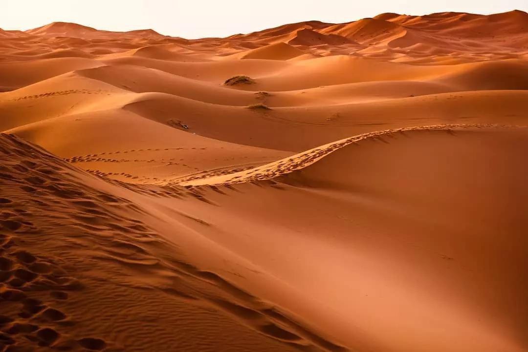 In un viaggio in Marocco non puoi non visitare il Sahara.