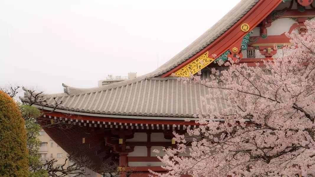 Il tempio di Asakusa è uno dei simboli di Tokyo.