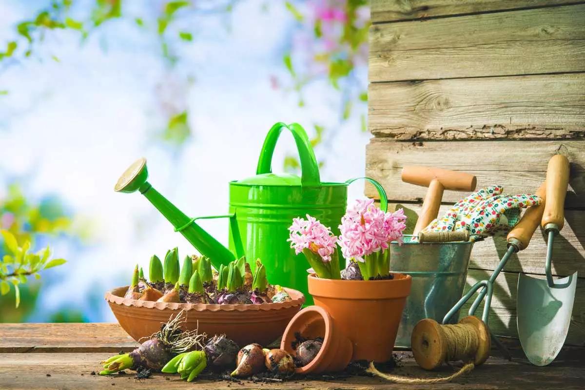 Non male come scambio: non serve essere ricchi, ma solo disponibili a scambiare.