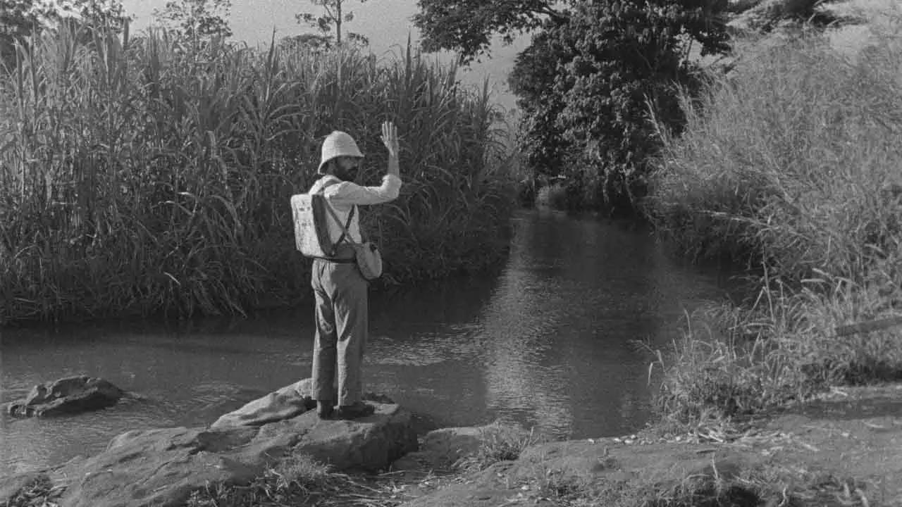 Non esiste solo la grammatica, quando studi una lingua, se vuoi capirla fino in fondo.