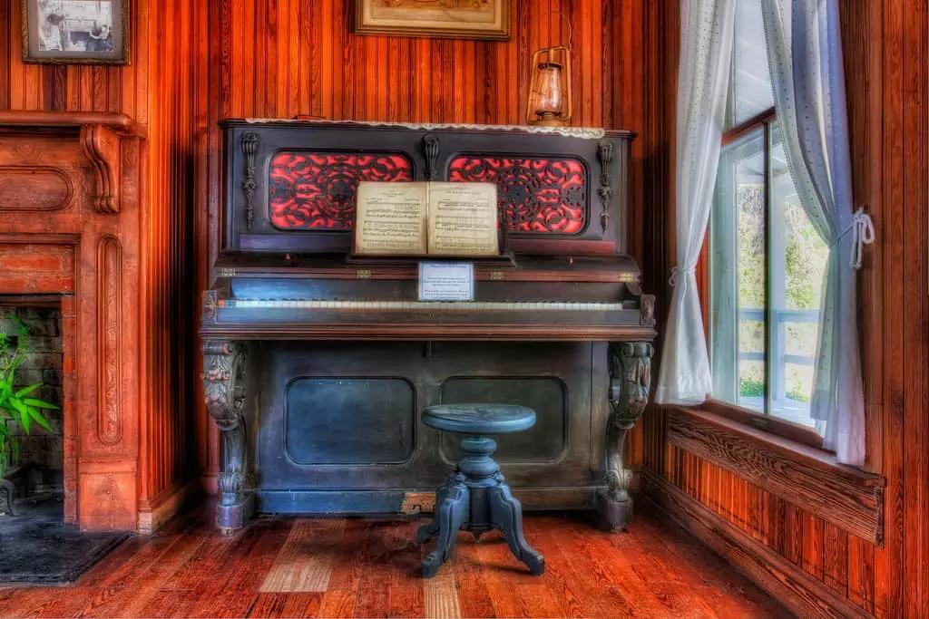 Le scuole di musica private offrono lezioni di pianoforte per adulti e bambini, ma il costo, la durata e la frequenza dipendono dal livello e dall'obiettivo professionale e personale dell'allievo.