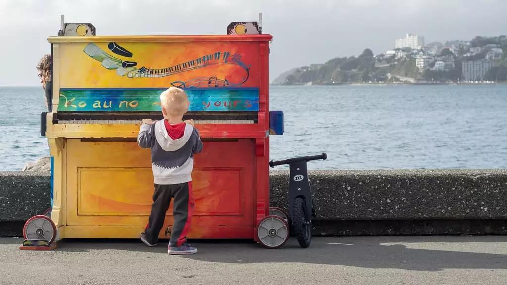 I conservatori di musica hanno solo corsi di pianoforte di livello universitario.