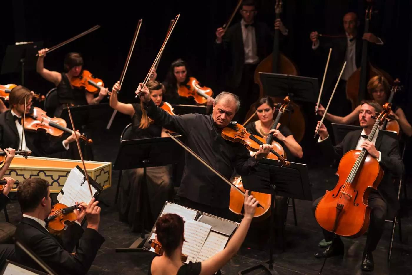Con le scuole di musica di Torino trovi corsi di violino amatoriali e professionali.