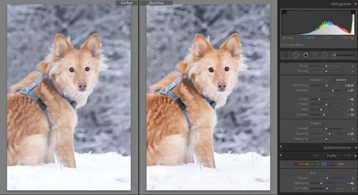 Lightroom ti offre tantissime opportunità creative, scoprile tutte!