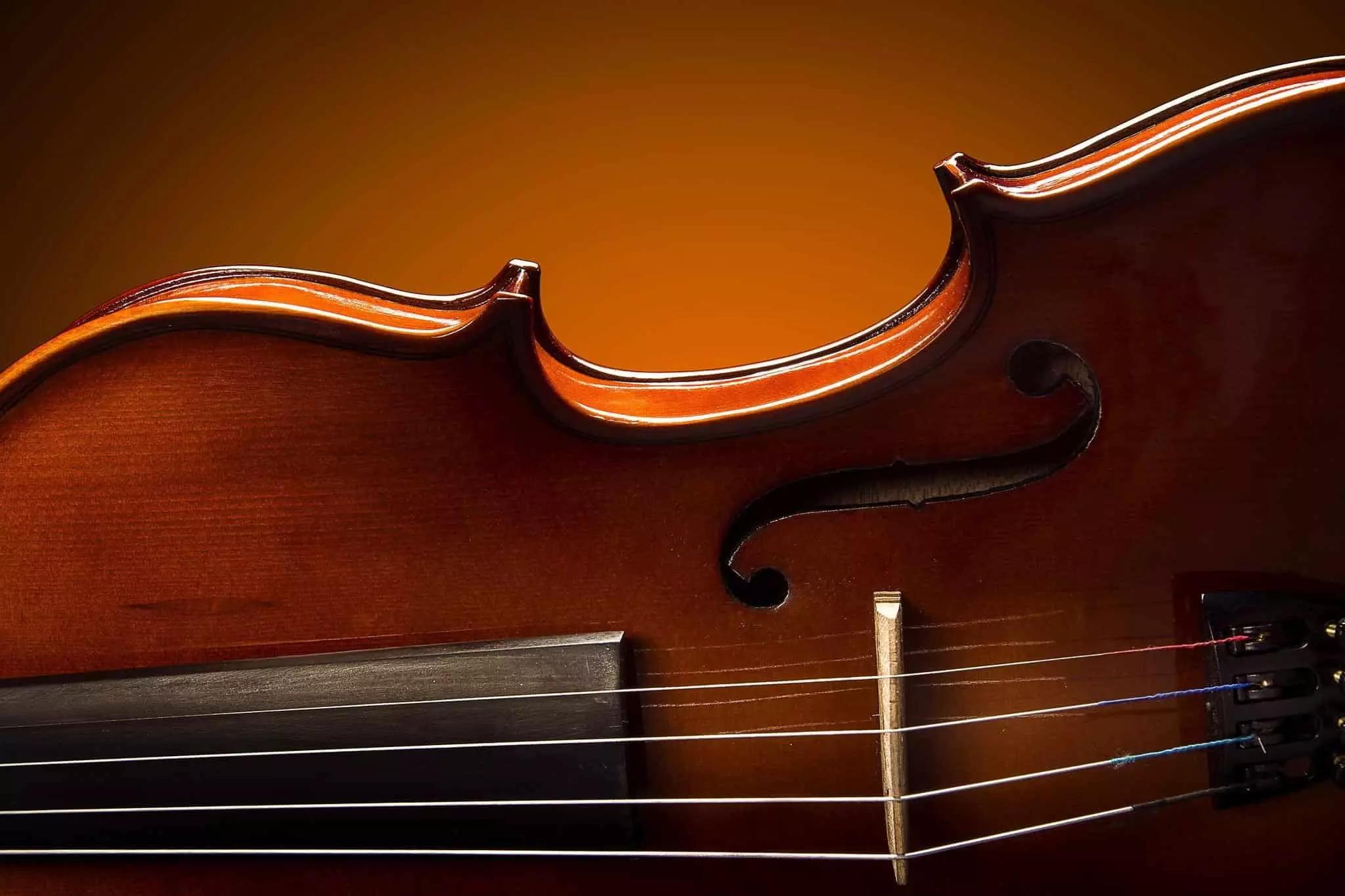Con un insegnante privato puoi vivere la tua passione per il violino.