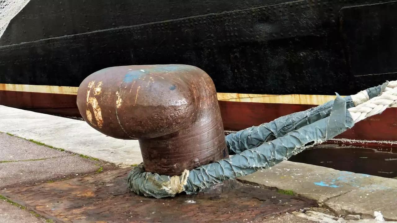 Con le app per cellulare puoi imparare ad accordare il violino.